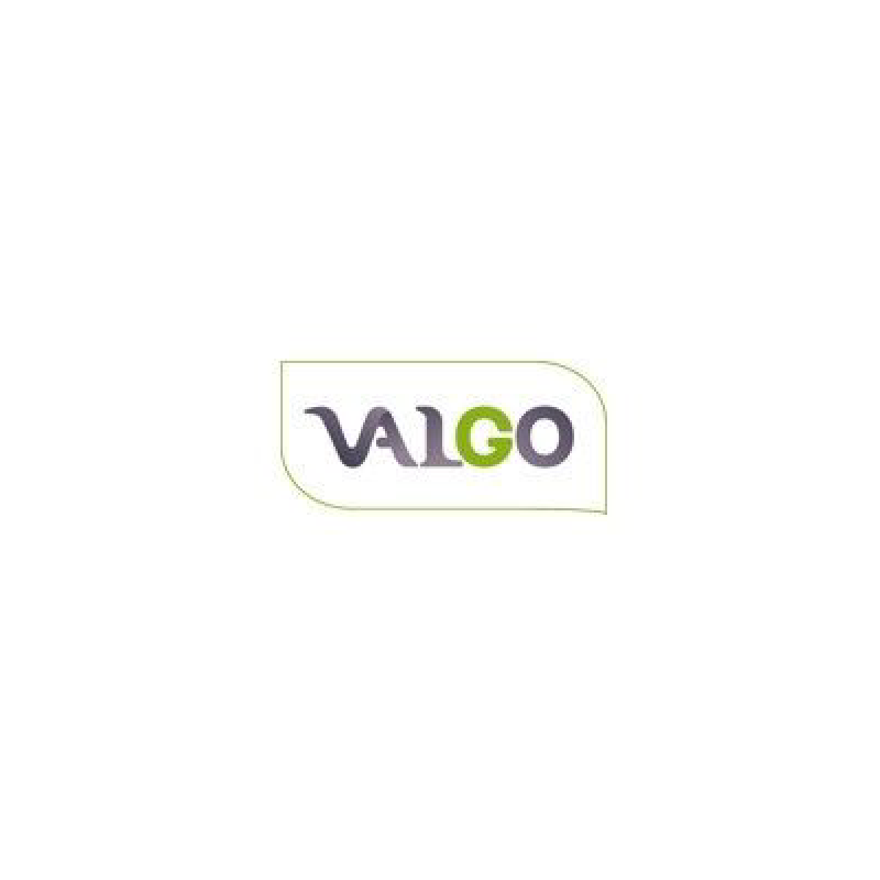 Logo Valgo